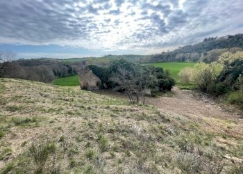 IMG_3364.jpg - Casale Via della Madonnuccia 8, Marsciano - foto 9