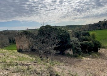 IMG_3366.jpg - Casale Via della Madonnuccia 8, Marsciano - foto 11