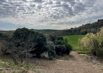 IMG_3367.jpg - Casale Via della Madonnuccia 8, Marsciano - foto 12