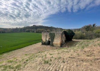 IMG_3370.jpg - Casale Via della Madonnuccia 8, Marsciano - foto 14