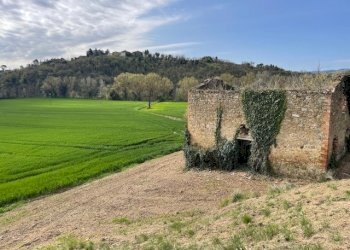 IMG_3372.jpg - Casale Via della Madonnuccia 8, Marsciano - foto 16