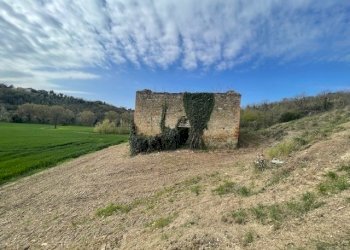 IMG_3373.jpg - Casale Via della Madonnuccia 8, Marsciano - foto 17