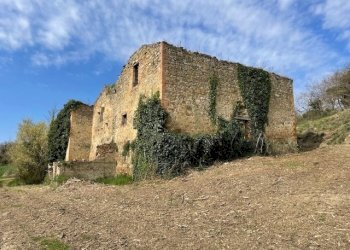 IMG_3375.jpg - Casale Via della Madonnuccia 8, Marsciano - foto 19