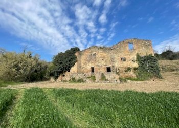 IMG_3380.jpg - Casale Via della Madonnuccia 8, Marsciano - foto 22