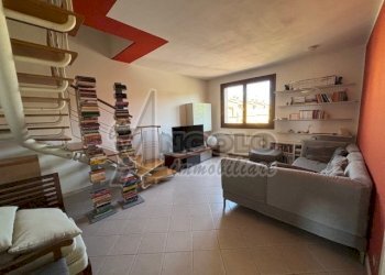 IMG_9319.jpg - Appartamento Stienta - foto 17