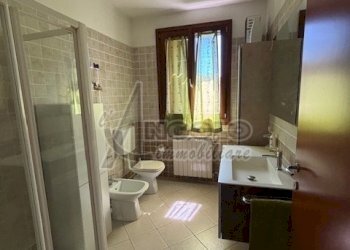 IMG_9321.jpg - Appartamento Stienta - foto 19