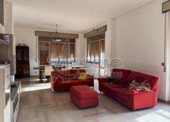 IMG_8221.jpg - Appartamento Occhiobello - foto 2