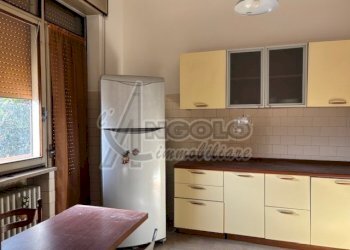 IMG_8224.jpg - Appartamento Occhiobello - foto 5