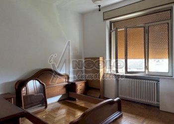 IMG_8239.jpg - Appartamento Occhiobello - foto 20