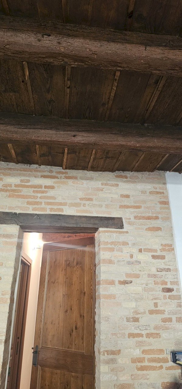 20250915_092635.jpg - Two-room apartment Via Giacomo Leopardi snc, Monte San Vito - photo 1