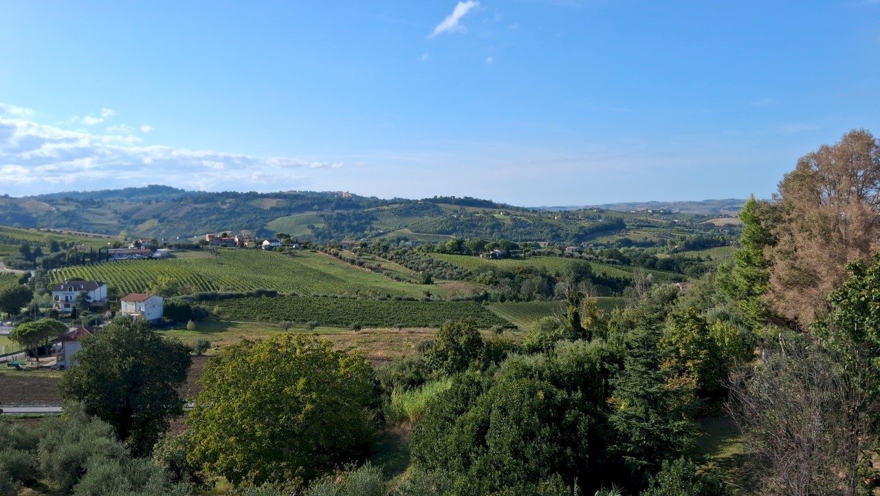 20250915_165922.jpg - Appartamento Piazzale Domenico Ricci 1, San Paolo di Jesi - foto 2