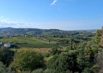 20250915_165922.jpg - Appartamento Piazzale Domenico Ricci 1, San Paolo di Jesi - foto 2