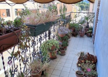 20250915_164541.jpg - Appartamento Piazzale Domenico Ricci 1, San Paolo di Jesi - foto 8