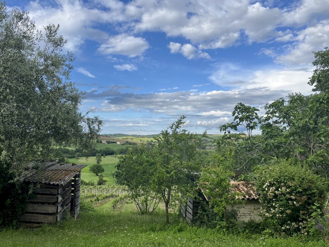 IMG_5777.jpeg - Casa indipendente Contrada Colle, Montecarotto - foto 3