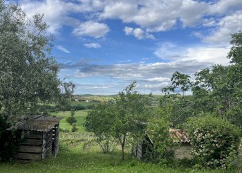 IMG_5777.jpeg - Casa indipendente Contrada Colle, Montecarotto - foto 3
