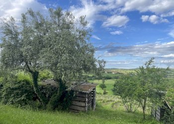 IMG_5776.jpeg - Casa indipendente Contrada Colle, Montecarotto - foto 16