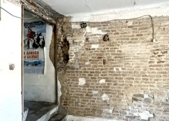 IMG_5672.jpg - Casa indipendente Jesi - foto 10