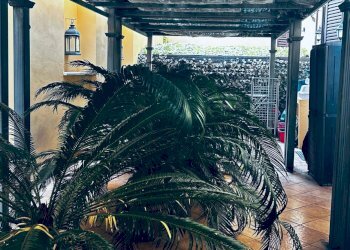 8a44b9a1-64a8-48e9-89ec-07fb9870631a.JPG - Appartamento Viale Trieste, Jesi - foto 16