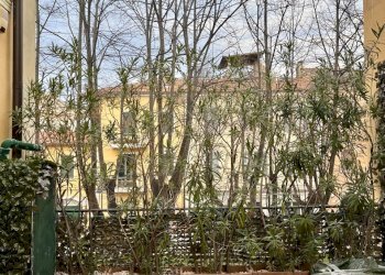 IMG_4411(1).jpg - Appartamento Viale Trieste, Jesi - foto 19