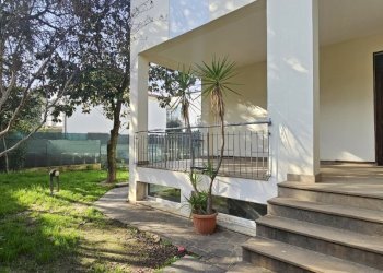 20250124_113405.jpg - Independent house Via Gioacchino Rossini 16, Jesi - photo 2