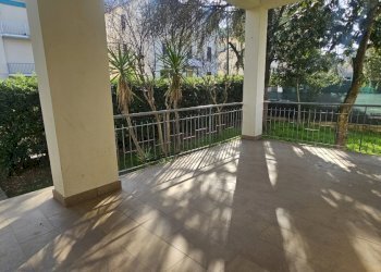 20250124_113752.jpg - Independent house Via Gioacchino Rossini 16, Jesi - photo 19