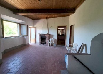 18pinzano.jpg - Casa Colonica Rufina - foto 18