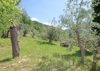 5.jpg - Casale Londa - foto 4