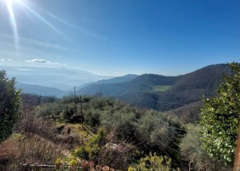 30.jpg - Independent house Pontassieve - photo 30