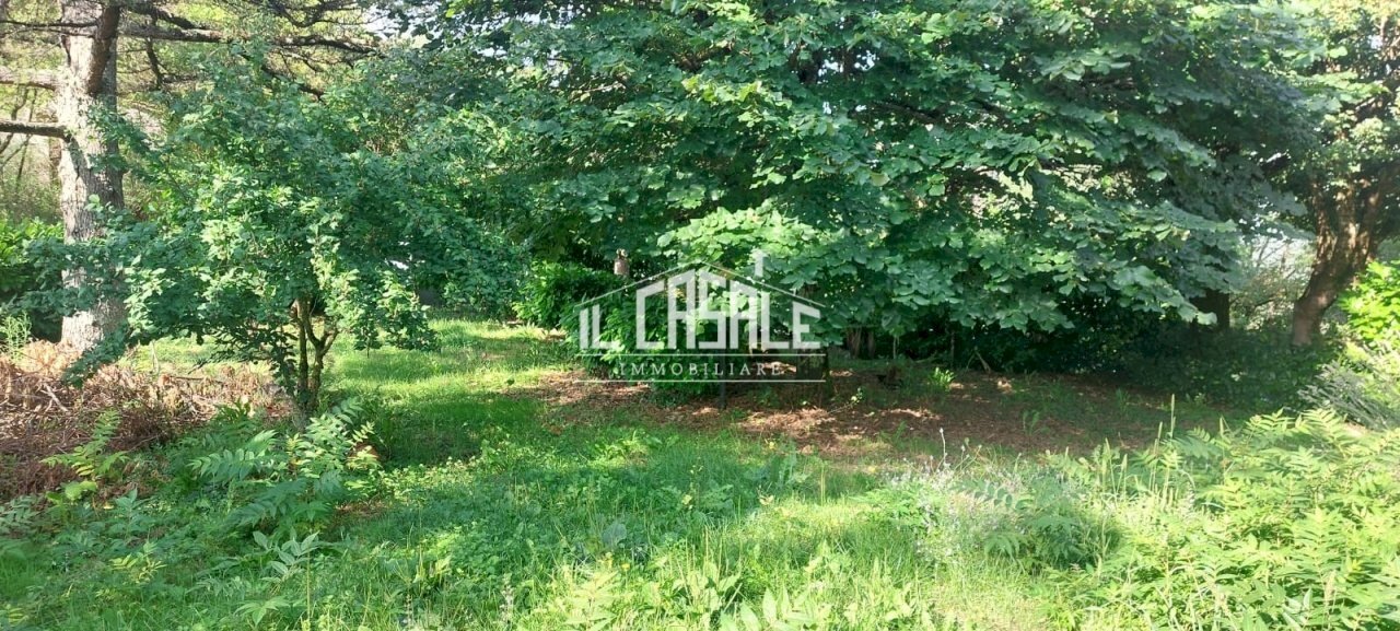 3imocasale.jpg - Villetta San Godenzo - foto 3