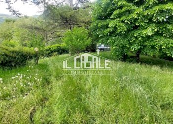 2imocasale.jpg - Villetta San Godenzo - foto 2