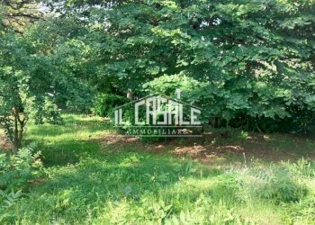 3imocasale.jpg - Villetta San Godenzo - foto 3