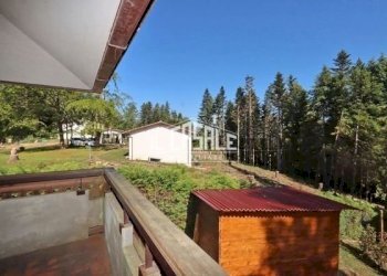 9consuma.jpg - Villa Via Poggio al Frate, Pelago - photo 9