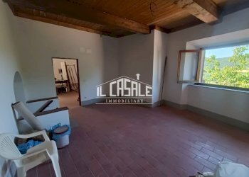 2pinzano.jpg - Casa Colonica Rufina - foto 2