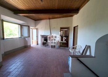 18pinzano.jpg - Casa Colonica Rufina - foto 18