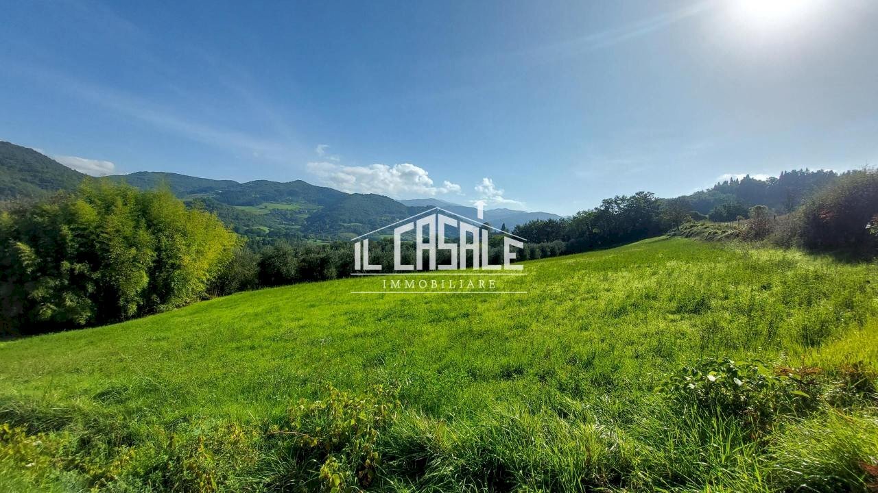 3terrenobadia-min.jpg - Terreno agricolo Località Bovino 7, Dicomano - foto 3