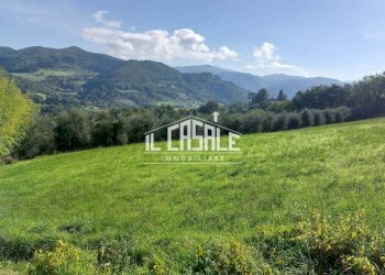 2terrenobadia-min.jpg - Terreno agricolo Località Bovino 7, Dicomano - foto 2