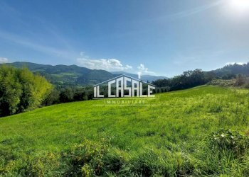 3terrenobadia-min.jpg - Terreno agricolo Località Bovino 7, Dicomano - foto 3