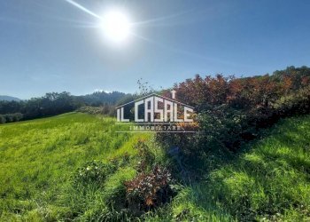 5terrenobadia-min.jpg - Terreno agricolo Località Bovino 7, Dicomano - foto 5