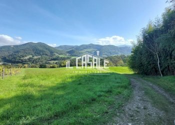 6terrenobadia-min.jpg - Terreno agricolo Località Bovino 7, Dicomano - foto 6