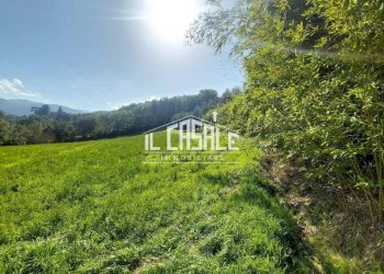 9terrenobadia-min.jpg - Terreno agricolo Località Bovino 7, Dicomano - foto 9