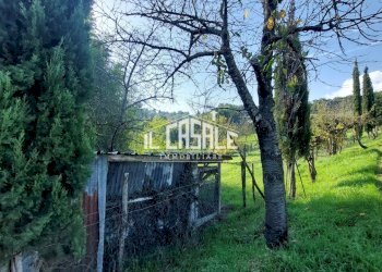 12terrenobadia-min.jpg - Terreno agricolo Località Bovino 7, Dicomano - foto 12