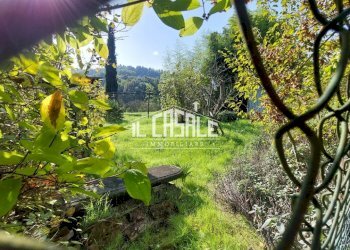 13terrenobadia-min.jpg - Terreno agricolo Località Bovino 7, Dicomano - foto 13