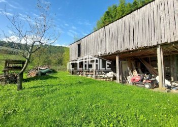 18terrenobadia-min.jpg - Terreno agricolo Località Bovino 7, Dicomano - foto 18