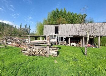 23terrenobadia-min.jpg - Terreno agricolo Località Bovino 7, Dicomano - foto 23