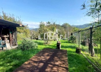 29terrenobadia-min.jpg - Terreno agricolo Località Bovino 7, Dicomano - foto 29