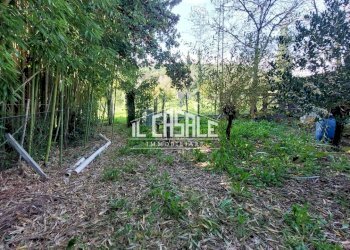 30terrenobadia-min.jpg - Terreno agricolo Località Bovino 7, Dicomano - foto 30