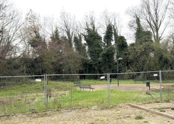 IMG_2260.jpeg - Appartamento Via Calzolara, Valsamoggia - foto 17