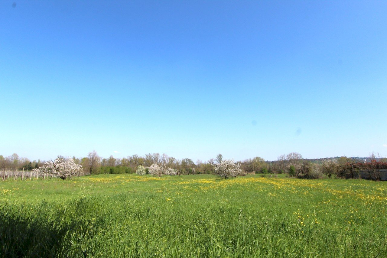 IMG_6275.jpg - Porzione di casa Viale M. di Canossa, Valsamoggia - foto 3