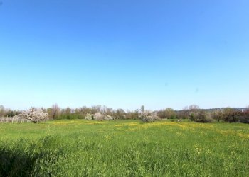 IMG_6275.jpg - Porzione di casa Viale M. di Canossa, Valsamoggia - foto 3