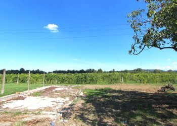 IMG_7317.jpg - Porzione di casa Via Monteveglio, Valsamoggia - foto 4